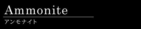 アンモナイト