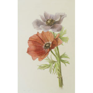 大路 誠　作品ギャラリー