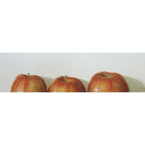 大路 誠　作品ギャラリー