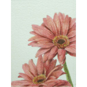 大路 誠　作品ギャラリー