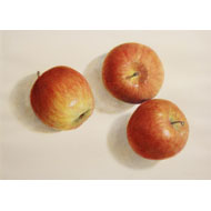 大路 誠　作品ギャラリー