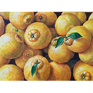 大路 誠　作品ギャラリー