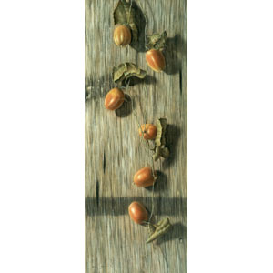 大路 誠　作品ギャラリー