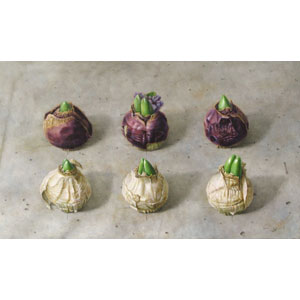 大路 誠　作品ギャラリー