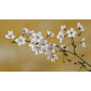 大路 誠　作品ギャラリー