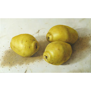 大路 誠　作品ギャラリー