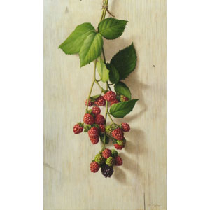 大路 誠　作品ギャラリー