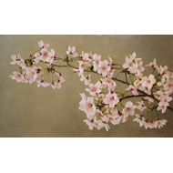 大路 誠　作品ギャラリー