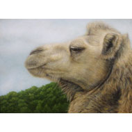 大路 誠　作品ギャラリー