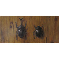 大路 誠　作品ギャラリー