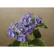 大路 誠　作品ギャラリー