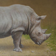 大路 誠　作品ギャラリー