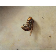 大路 誠　作品ギャラリー