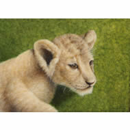 大路 誠　作品ギャラリー