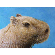 大路 誠　作品ギャラリー